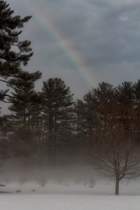 snow-fog-leecamerawork003 (1)               